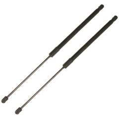 21.5 Inch 2Pcs Liftgate Trunk Struts Lift Supports Compatible with Kia