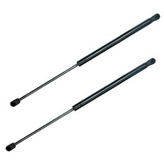 2Pcs 19.37 In Front Lift Supports Compatible With DODGE 2005-2010 DAKOTA /