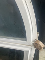 2 Arched Top Fixed Windows 36” W X 71-3/4” H See Notes