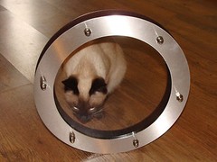PORTHOLE FOR DOOR STAINLESS STEEL phi 150 mm flat
