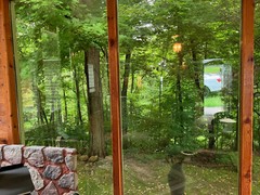 Double Pane Windows, Mirrored, Tint, 3 -42-3/4 X 82-3/4 NO Frame, 7’-6” X 11”-7’