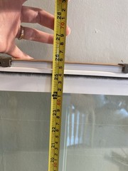 Window World Vinyl Double Hung Replacement Windows Grid Tinted Light Oak 24×50?
