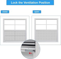 Shed Window 36×36″ 2-Pack, Tempered Glass, Fiberglass Screen