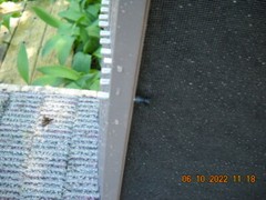 Window Screens Residential 20 x 20 Used Excellent Condition. PRICE PER SCREEN