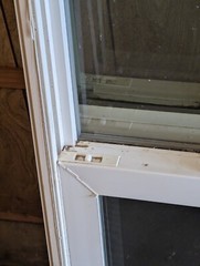 White Vinyl, per hung, Windows For a House with sceens 36in X 36 in