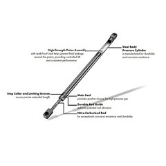 2Pcs 19.37 In Front Lift Supports Compatible With DODGE 2005-2010 DAKOTA /