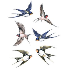 6 Pcs Window Decals Glueless Film Removable Bird