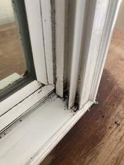 New Construction Double Hung Window With Grids 30-1/4” W X 57-1/4” H See Notes