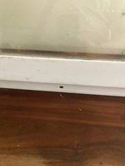 New Construction Fixed Window 16” X 36” T-12 Local Pick Up