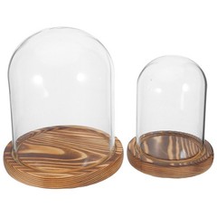 2 Sets Glass Dome Display Case Cloche for Crafts Decorative Cover