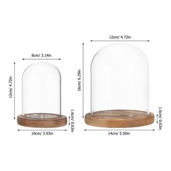2 Sets Glass Cloche with Base Dome Flower Display Decorative Candle Cover