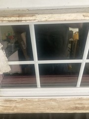 19” H X 60” W New Construction Slider With Grids And Screen