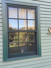 Marvin Vinyl Clad Windows (1) 57×36, (2) 45×36. New in crates. Dark Green