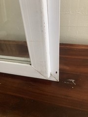 New Construction Fixed Window 16” X 36” T-12 Local Pick Up