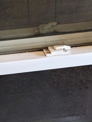White Vinyl, per hung, Windows For a House with sceens 36in X 36 in