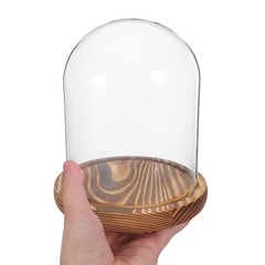 2 Sets Clear Glass Cloche Domes with Wooden Base for Ornament Display and Decor