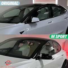Side Mirror Caps for 20182024 Model 3 Accessories Passenger Driver Side View E