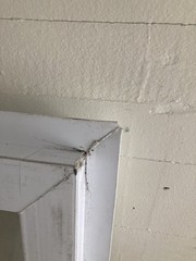 New Construction Fixed Window 16” X 36” T-12 Local Pick Up
