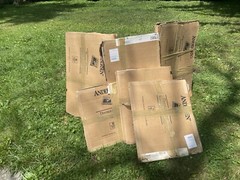 9 New Anderson Windows