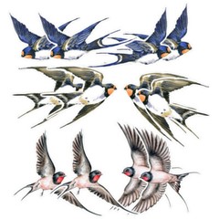 6 Pcs Window Decals Glueless Film Removable Bird