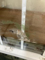 PlyGem New Construction Double Hung Window With Grids 26” W X 65-1/4” H See Note