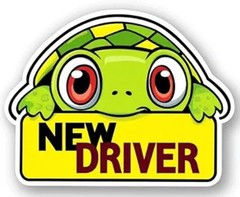 New Adorable Cartoon Turtle Safety Decal for Teen Drivers – Viny Style: Turtle
