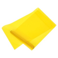 Sun Blocking Window Film Tint for Home Adheisve Glass Tinting Christmas