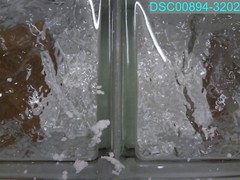 31 in. x 11.5 in. x 3.125 in Frameless Ice Pattern Non-Vented Glass Block Window