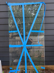 35 in. X 96in tempered glass storefront windows 3/8 thick