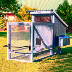 Shed Window 12″X36″ 2 Pack Transom Window Fixed Design with Tempered Glass, Perf