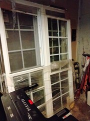 home windows and doors