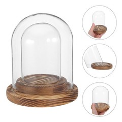 2 Sets Glass Dome Cover with Wood Base Crystal Clear Decorative Display Dome