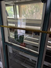 Atrium Window