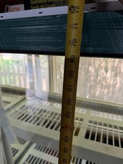 Atrium Window