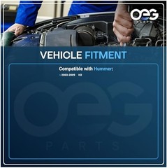 OEG Parts New Window Regulator W/Motor Rear Passenger Rear Passenger Side (RH)