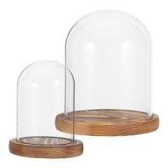 2 Sets Reusable Glass Display Dome with Wood Base Transparent Decor Cover