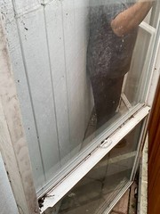 58-3/4”x36” Molding House Window