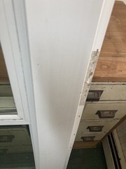 PlyGem New Construction Double Hung Window With Grids 26” W X 65-1/4” H See Note