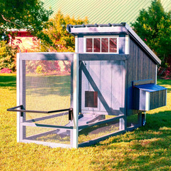 Shed Window 12″X24″ 2 Pack Transom Window Fixed Design with Tempered Glass, Perf