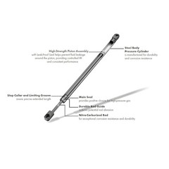21.85 Inch 2Pcs Liftgate Trunk Struts Lift Supports Compatible with Mini