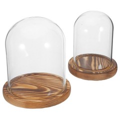 2 Sets Clear Glass Cloche Dome with Wood Base for Wedding Centerpiece Decor