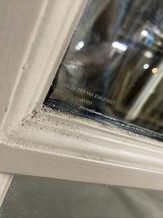 Craftsman style door/window fixed in frame double pane tempered glass 83X48