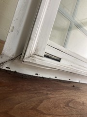 New Construction Double Hung Window With Grids 30-1/4” W X 57-1/4” H See Notes