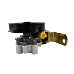 Power Steering Pump with Pulley and Reservoir Compatible with Dodge Dakota