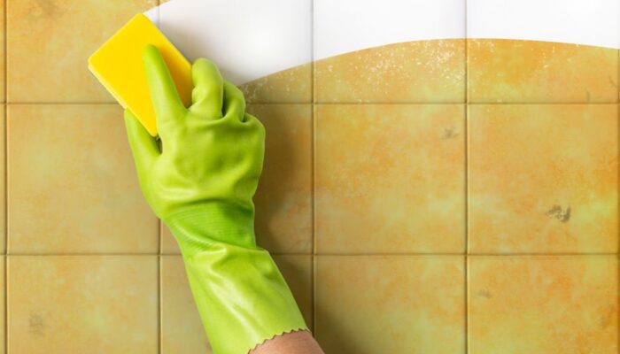Front view of an unrecognizable person hand with a green protective rubber glove holding a yellow scouring pad and cleaning up a very dirty ceramic tile wall.